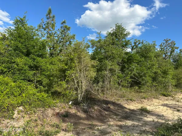 $12,000 | 0 Northwest Lake Side Drive, Unit LOT 16 & 17, Altha, FL 32421