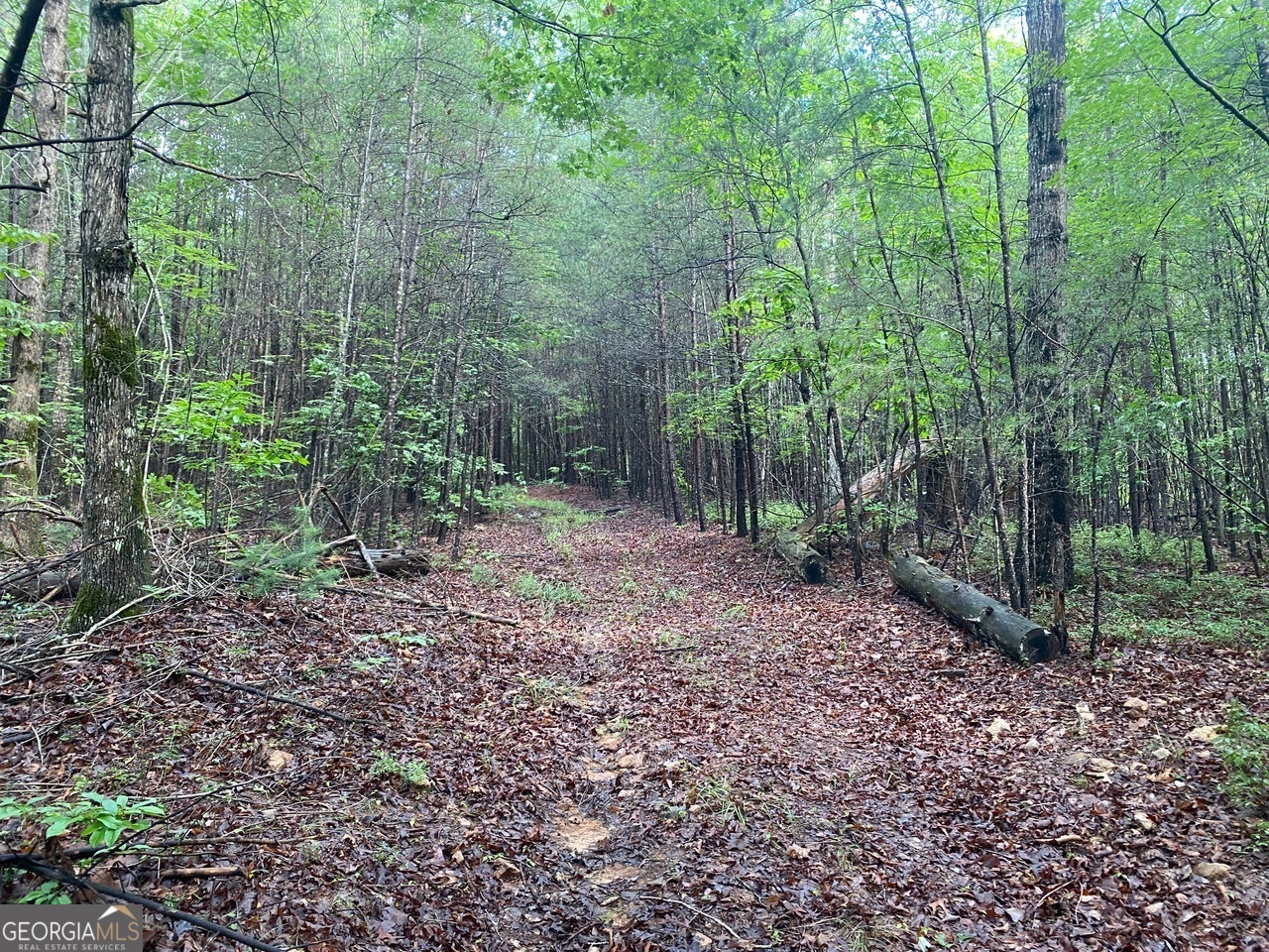 0 Barney Field Road, Unit 110 9 AC Clarkesville, GA 30523 - Photo 11 of 17