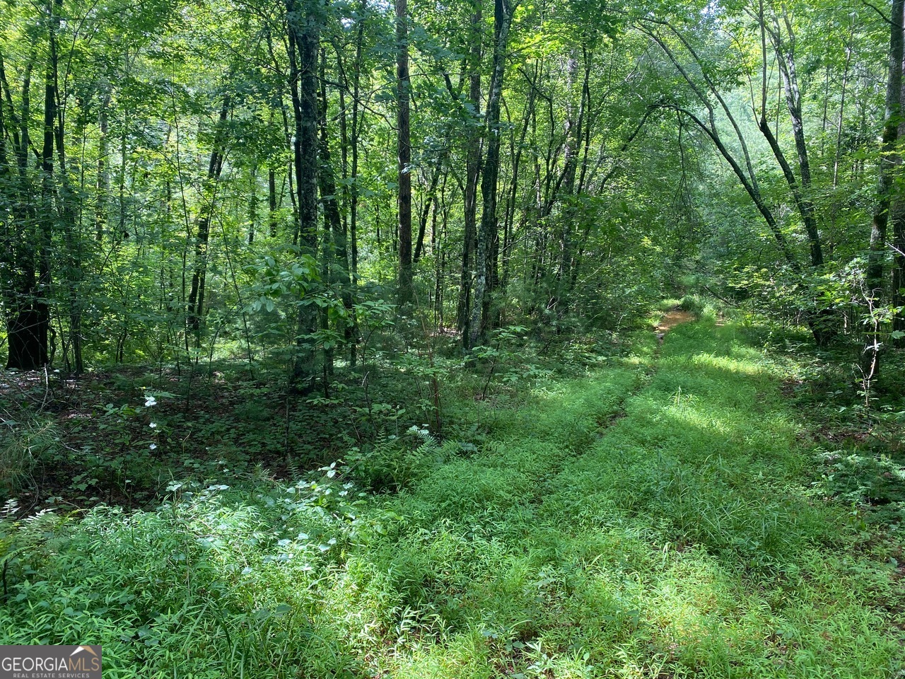 0 Barney Field Road, Unit 110 9 AC Clarkesville, GA 30523 - Photo 14 of 17