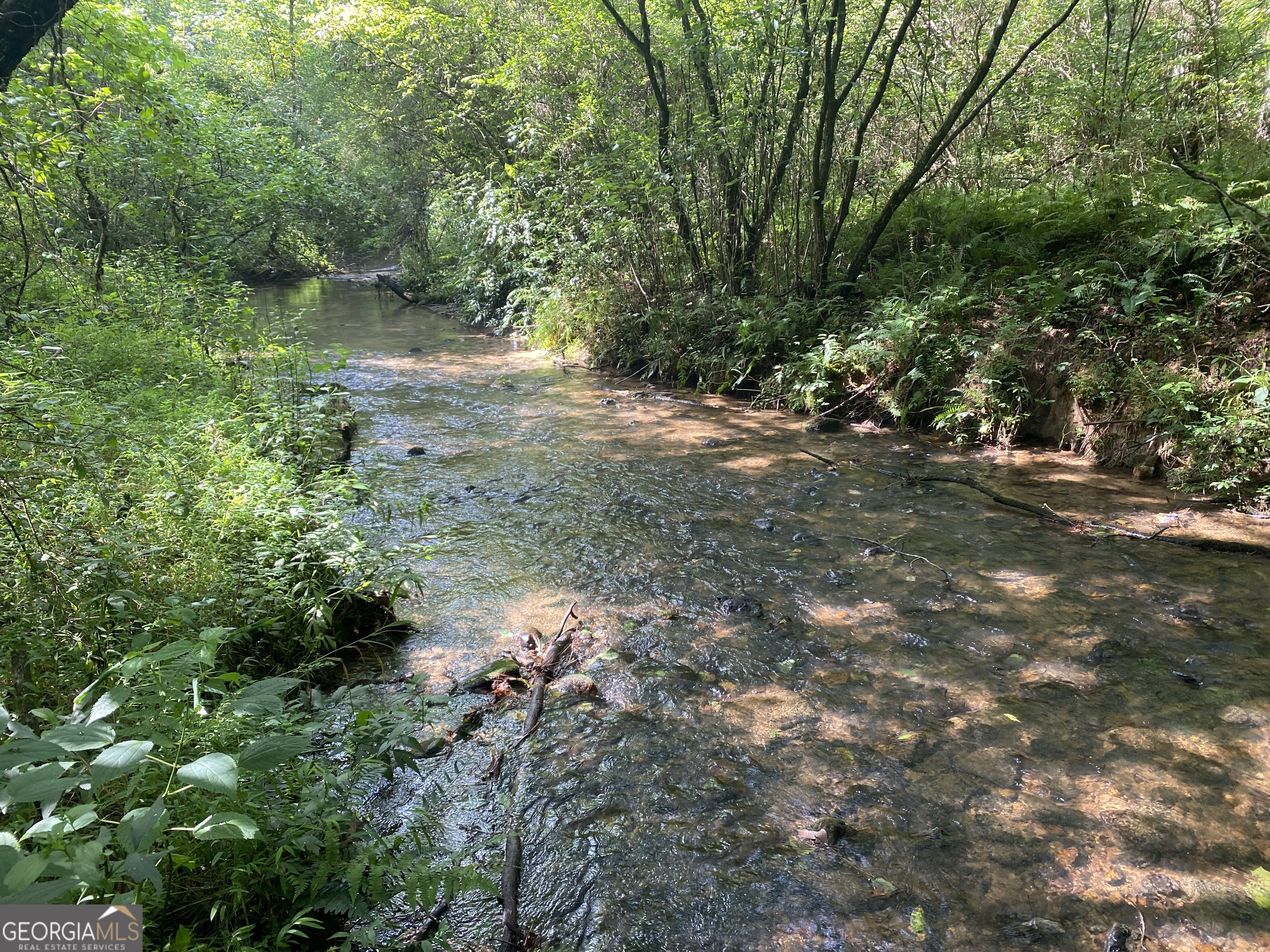 0 Barney Field Road, Unit 110 9 AC Clarkesville, GA 30523 - Photo 16 of 17