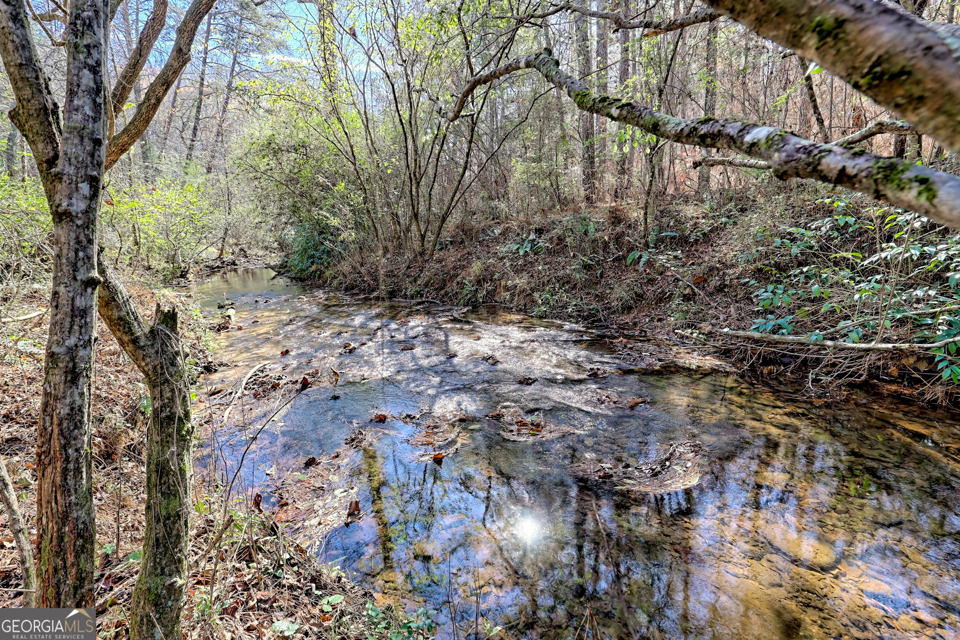 0 Barney Field Road, Unit 110 9 AC Clarkesville, GA 30523 - Photo 3 of 17