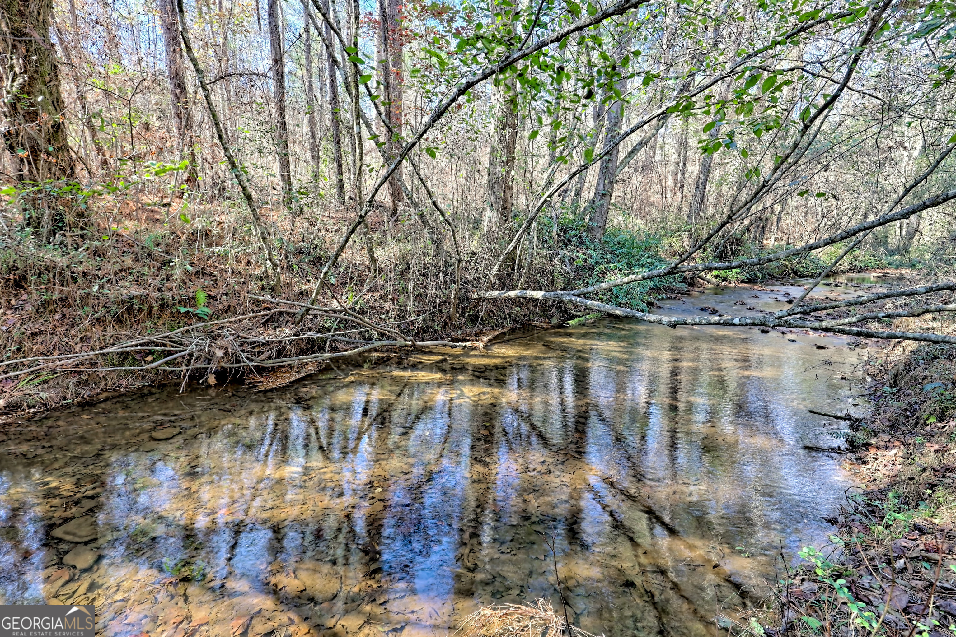 0 Barney Field Road, Unit 110 9 AC Clarkesville, GA 30523 - Photo 4 of 17