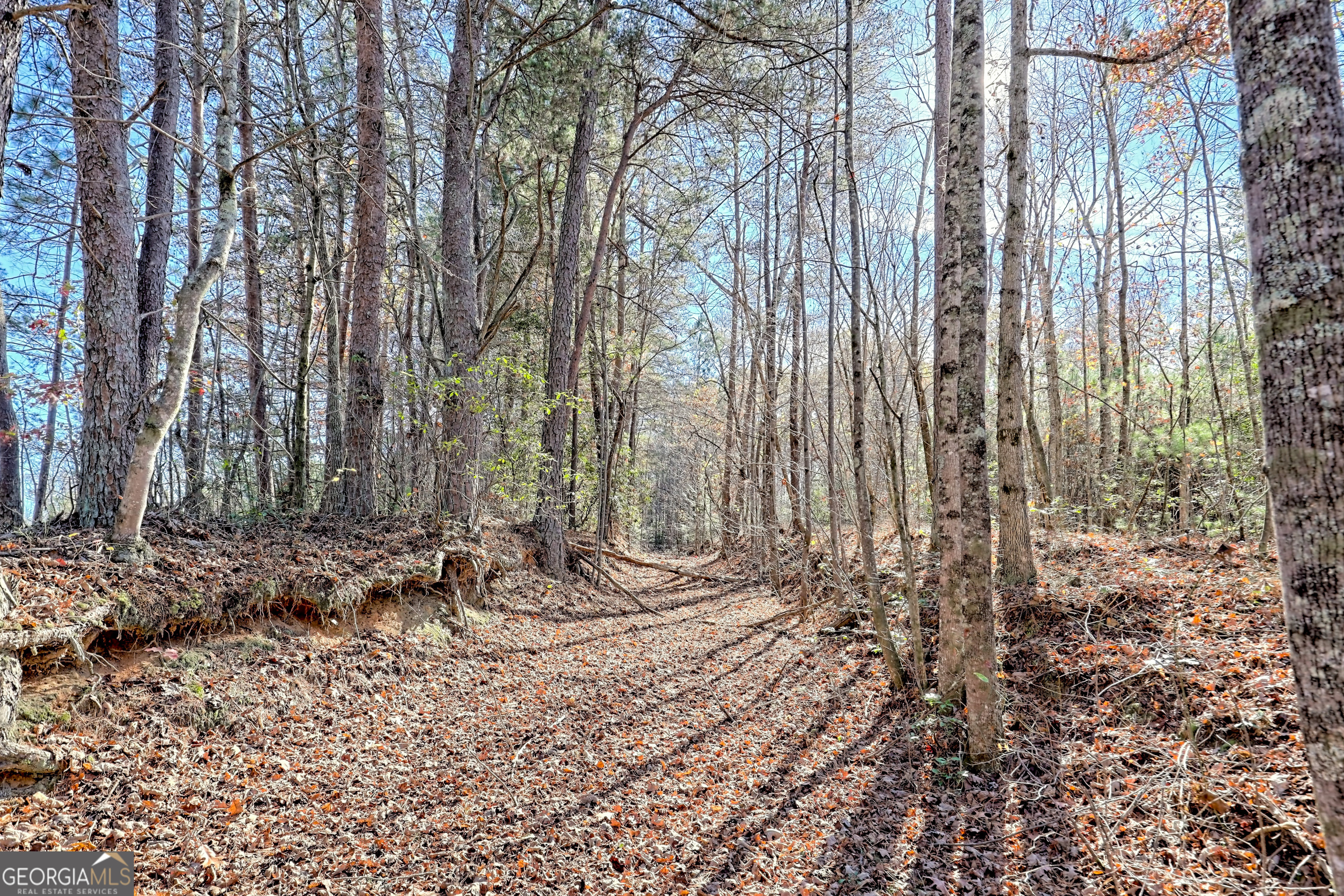 0 Barney Field Road, Unit 110 9 AC Clarkesville, GA 30523 - Photo 8 of 17