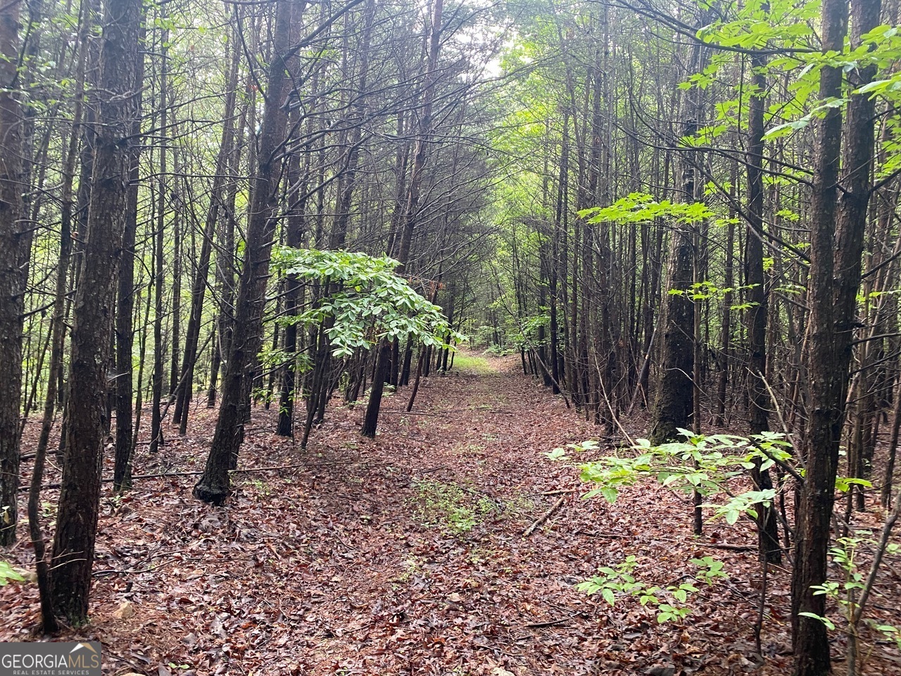 0 Barney Field Road, Unit 110 9 AC Clarkesville, GA 30523 - Photo 9 of 17