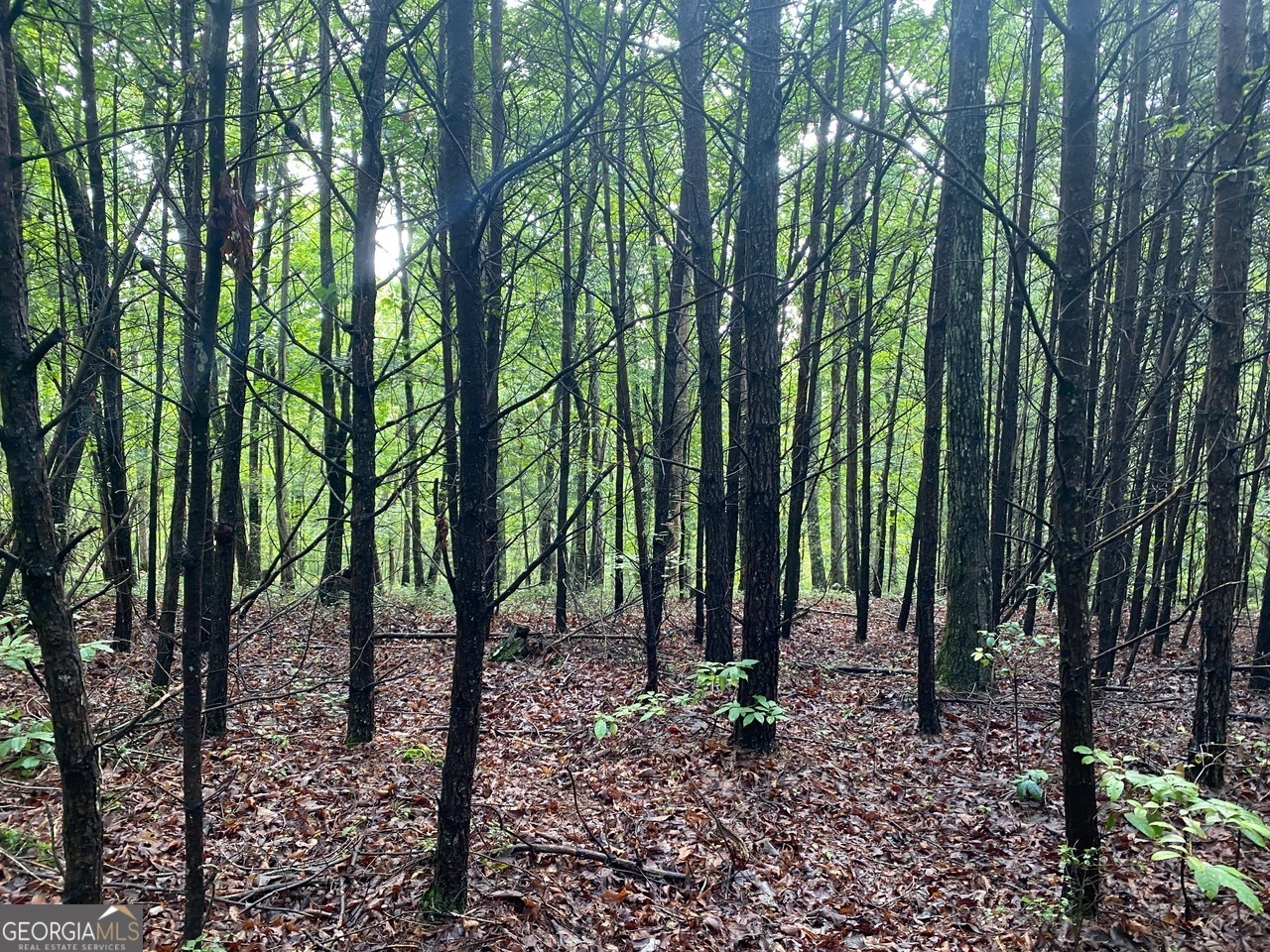 0 Barney Field Road, Unit 110 9 AC Clarkesville, GA 30523 - Photo 10 of 17