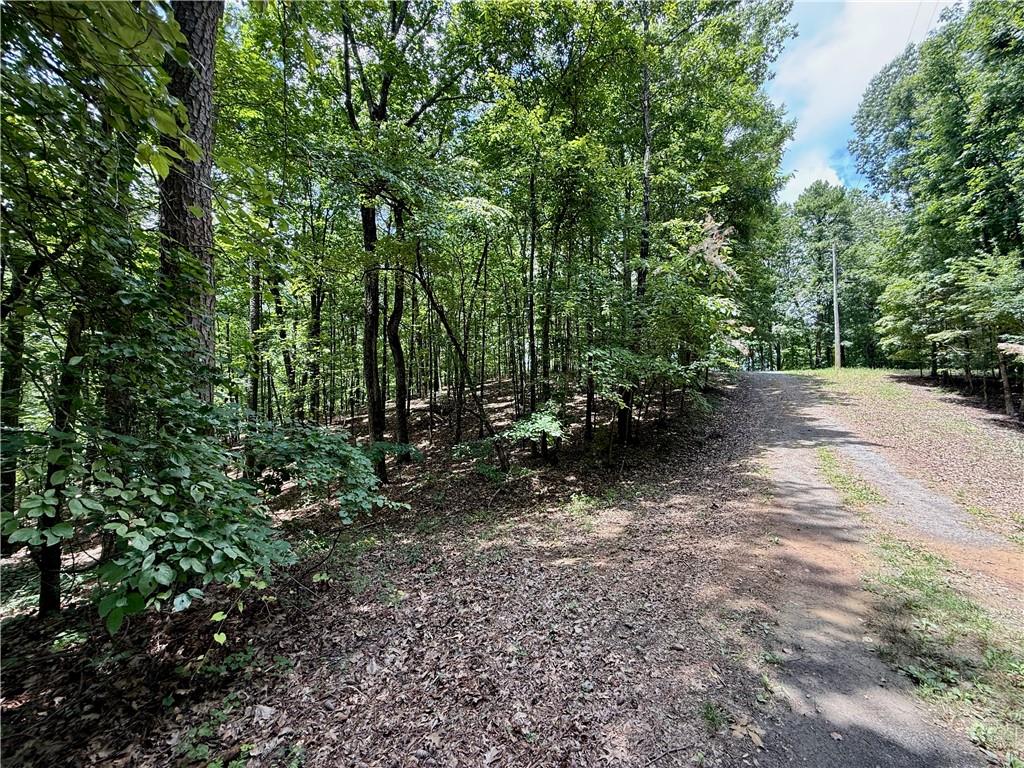 Lot 10 Mayfield Lane Ranger, GA 30734 - Photo 4 of 20 Gallery Image 4