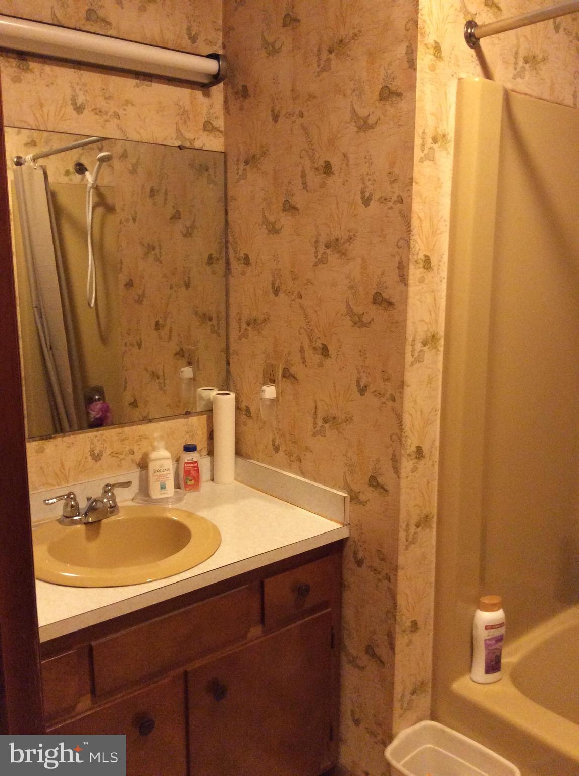 2001 Stulltown Road Millington, MD 21651 - Photo 17 of 18 a bathroom with a sink and a mirror