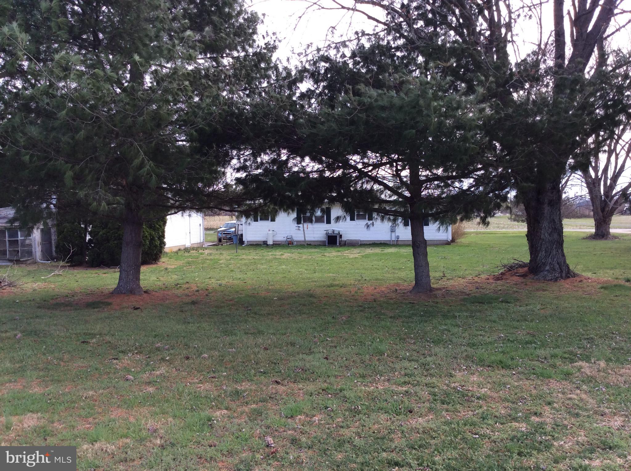2001 Stulltown Road Millington, MD 21651 - Photo 7 of 18 a view of yard with tree s