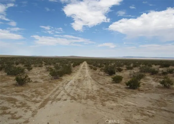 a view of a sky from a yard
