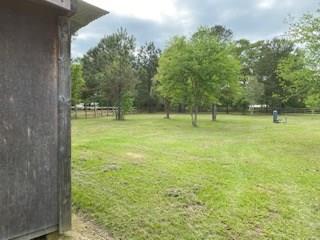 83438 Holliday Road Folsom, LA 70437 - Photo 12 of 26 Gallery Image 12