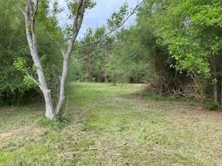 83438 Holliday Road Folsom, LA 70437 - Photo 16 of 26 Gallery Image 16