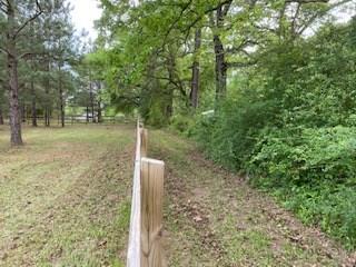 83438 Holliday Road Folsom, LA 70437 - Photo 21 of 26 Gallery Image 21