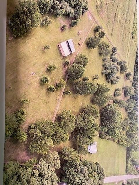 83438 Holliday Road Folsom, LA 70437 - Photo 24 of 26 Gallery Image 24