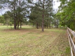 83438 Holliday Road Folsom, LA 70437 - Photo 3 of 26 Gallery Image 3