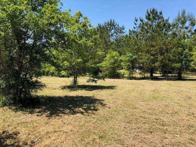 83438 Holliday Road Folsom, LA 70437 - Photo 8 of 26 Gallery Image 8