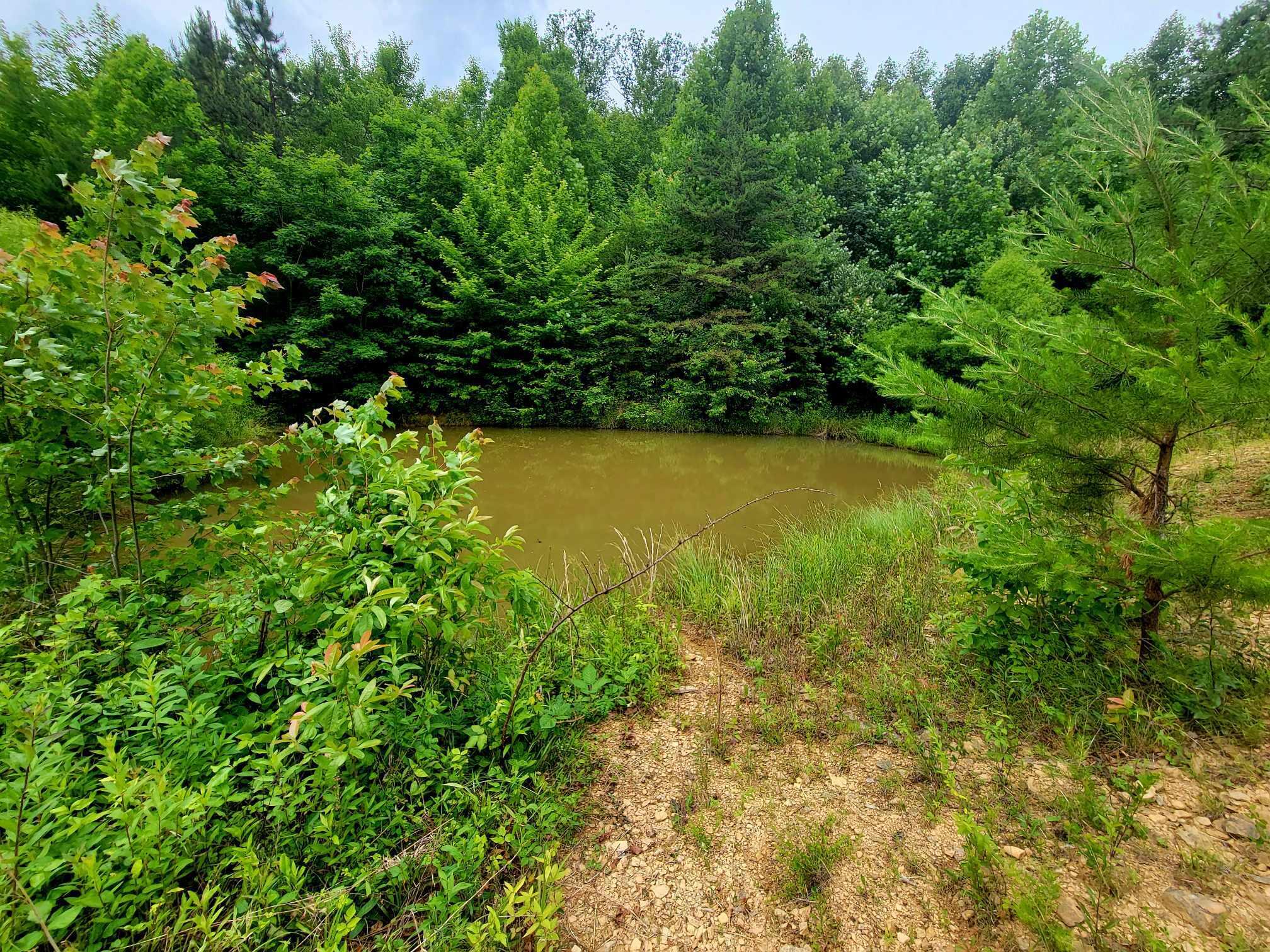 279 Mike Mcwhorter Road Tyner, KY 40486 - Photo 43 of 45 448404737_1103401474292179_2950098912963