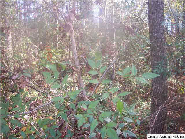 Bear Creek Circle Oneonta, AL 35121 - Photo 2 of 4