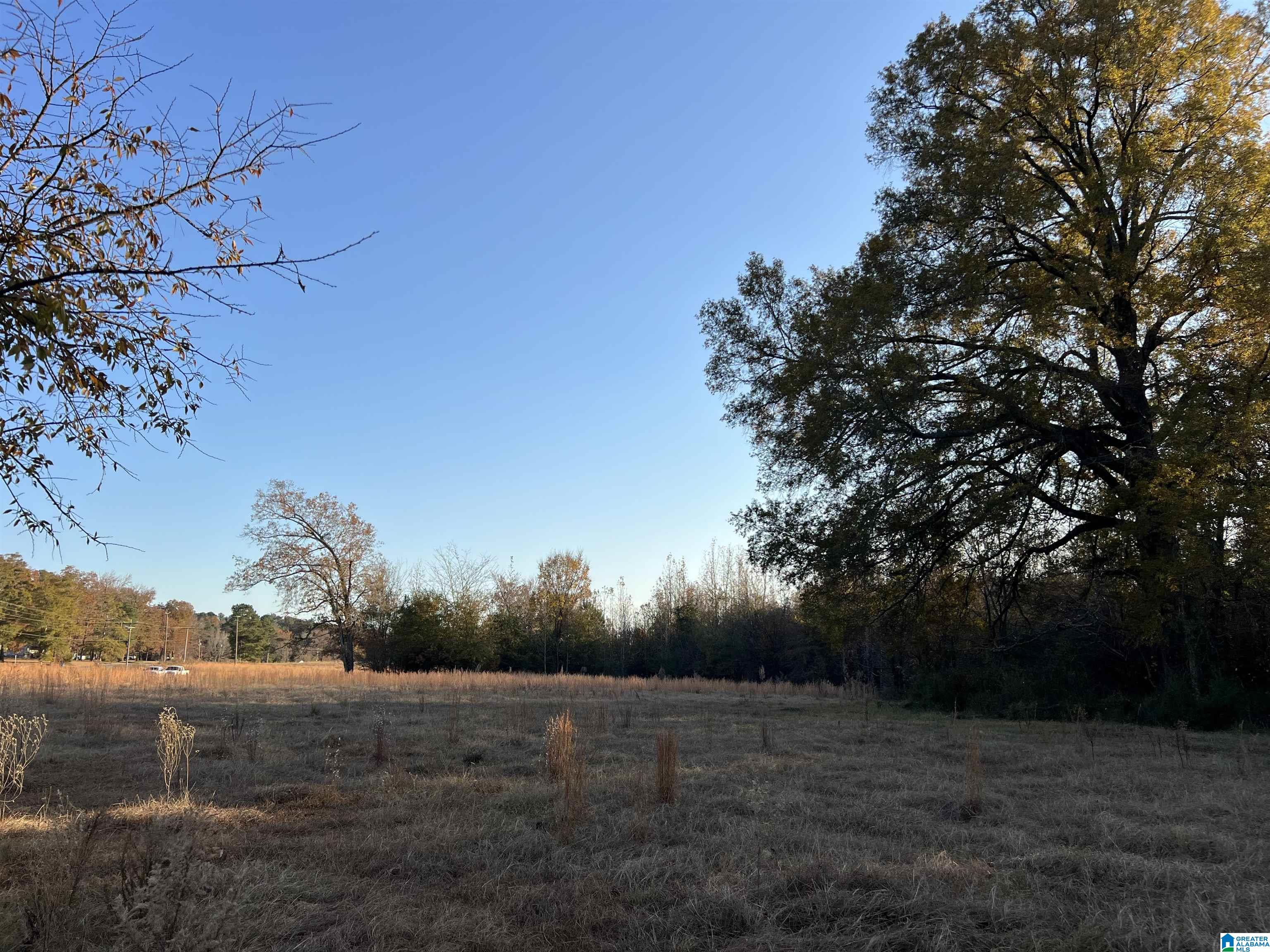 11-acres Risers Mill Road, Unit 11 ACRES Alpine, AL 35014 - Photo 3 of 23