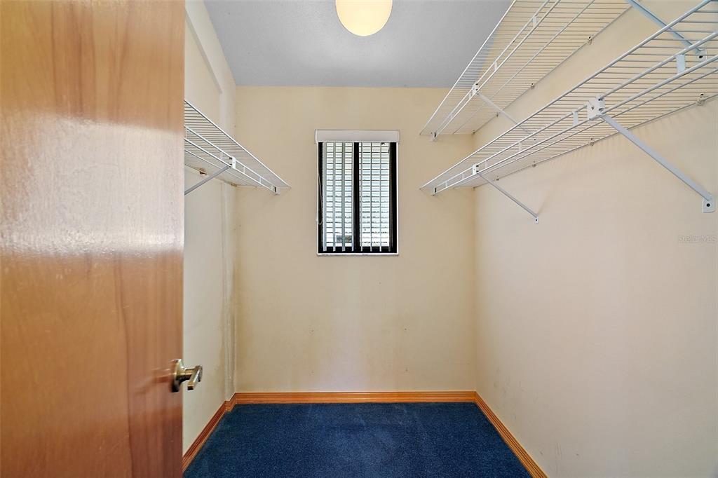 40325 Emeralda Island Road Leesburg, FL 34788 - Photo 20 of 35 Primary bedroom with walk-in closet ~