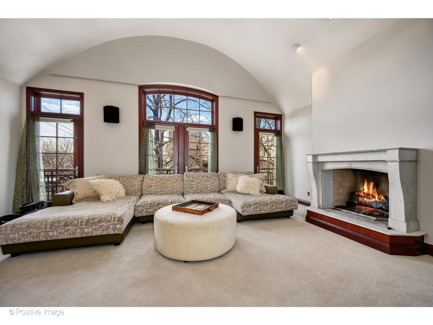 1811 North Howe Street Chicago, IL 60614 - Photo 37 of 42 a living room with furniture and a fireplace
