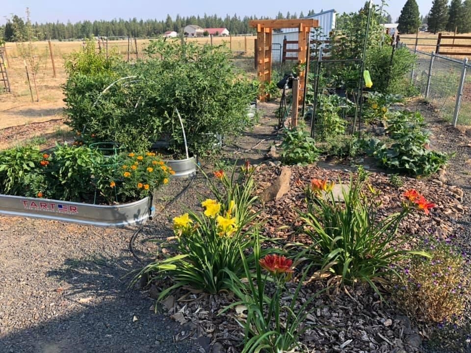 3916 West Dakin Lane Cheney, WA 99004 - Photo 24 of 42