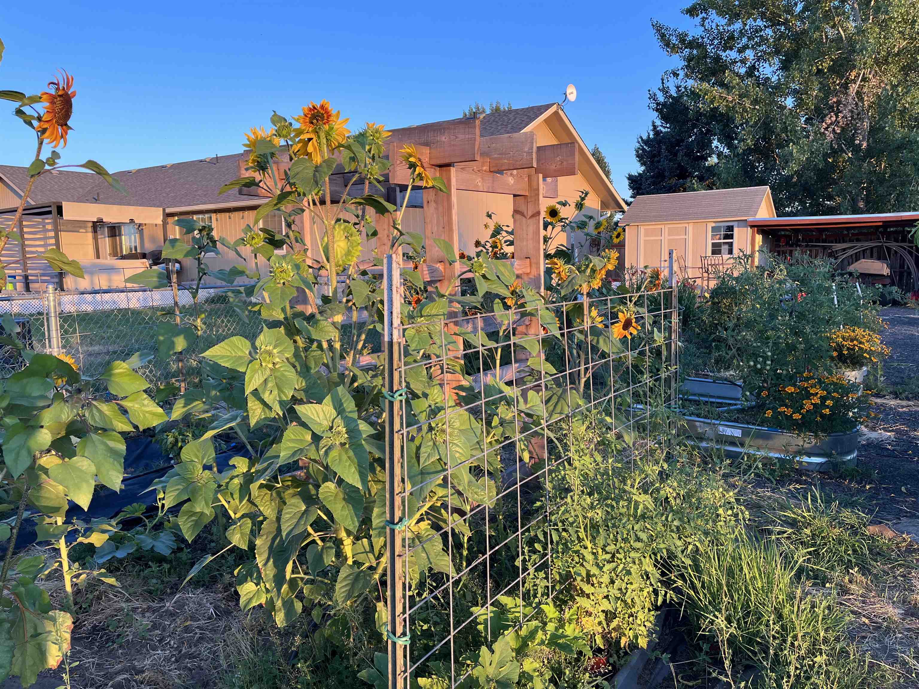 3916 West Dakin Lane Cheney, WA 99004 - Photo 25 of 42