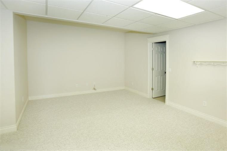 3929 Broken Ridge Circle Galesburg, MI 49053 - Photo 19 of 24 Additional Photo