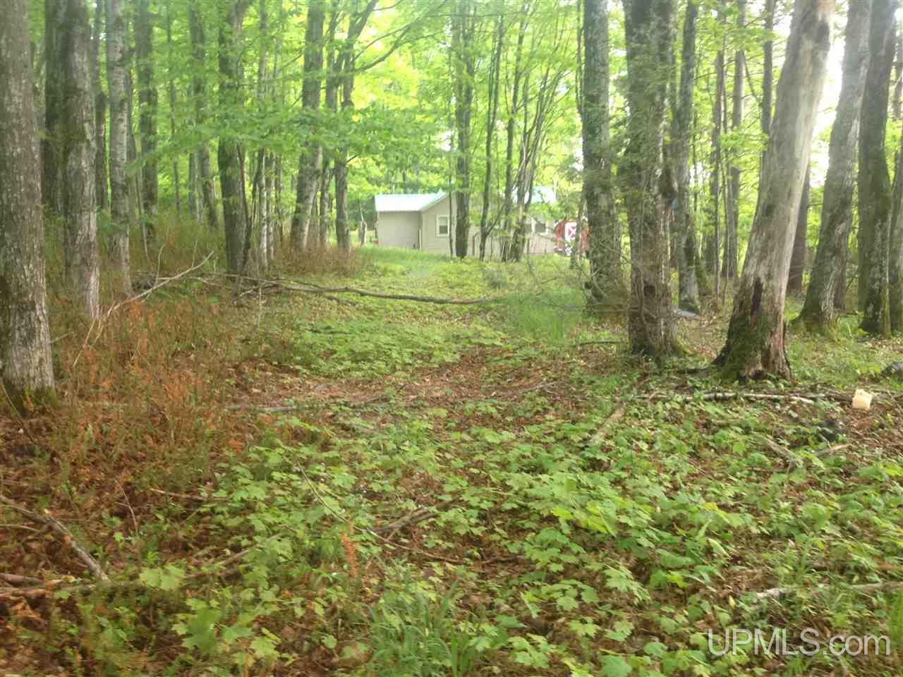 Tbd Luukkonen Camp Road Toivola, MI 49965 - Photo 5 of 19