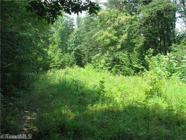 21 Bobcat Road Summerfield, NC 27358 - Photo 1 of 4 Land.