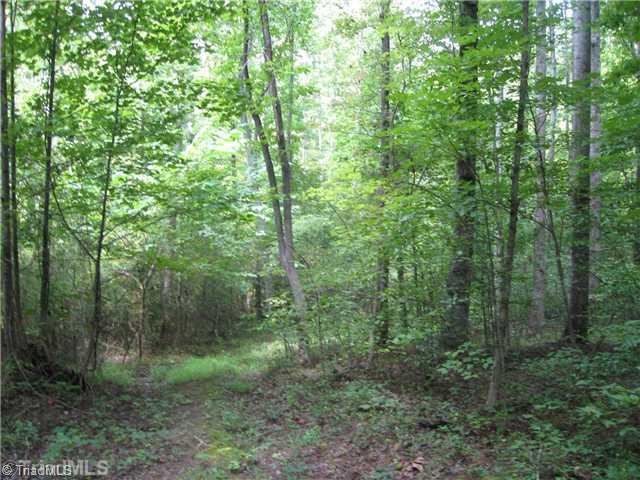 21 Bobcat Road Summerfield, NC 27358 - Photo 3 of 4 Land.