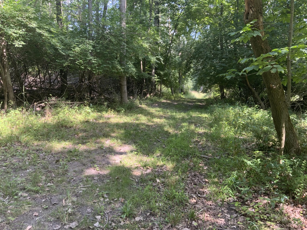 4350 Bailey Road Jackson, MI 49201 - Photo 33 of 42