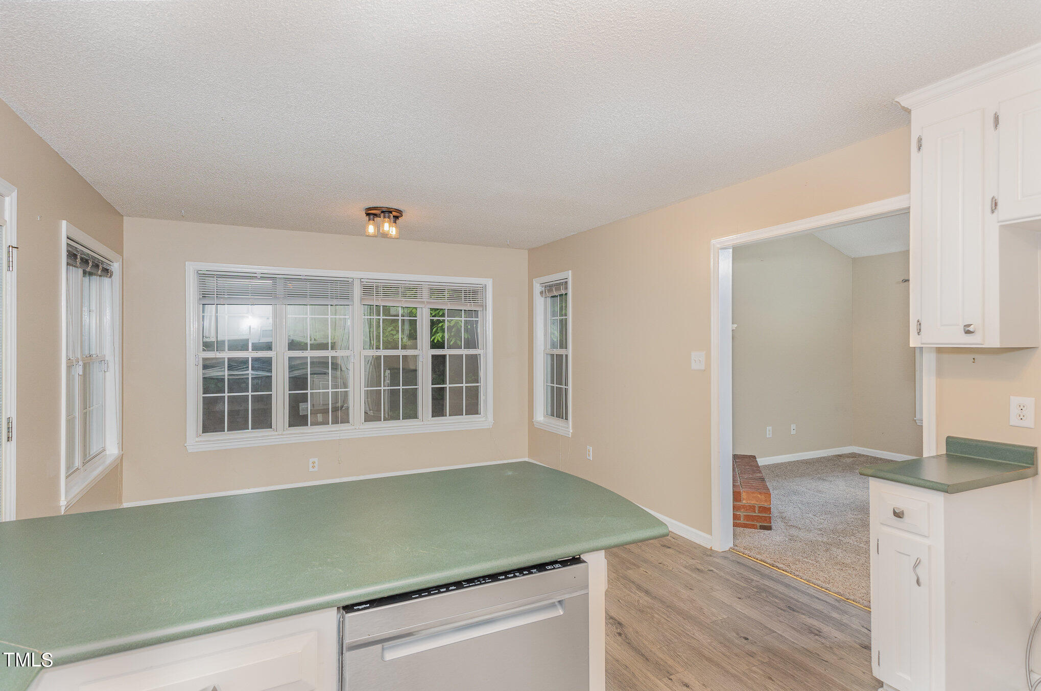 204 Beaver Ridge Way Benson, NC 27504 - Photo 13 of 27 011_bc4a7426-edit