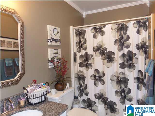 8420 Bill Jones Road Morris, AL 35116 - Photo 31 of 32