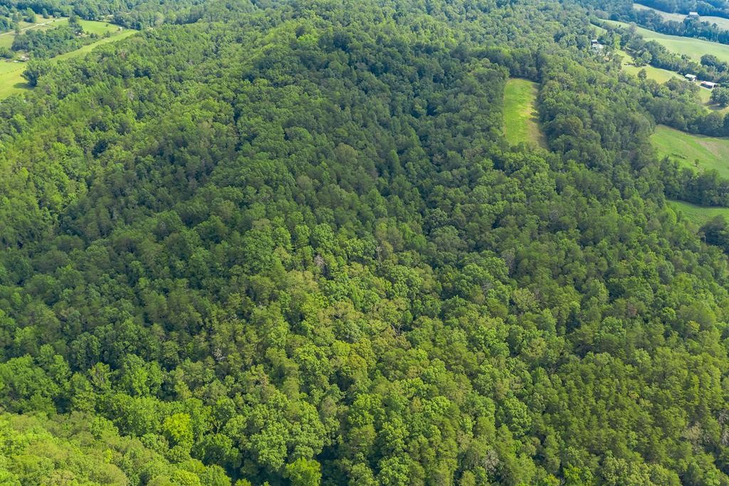 3301 Joppa Mountain Road Rutledge, TN 37861 - Photo 38 of 50 Gallery Image 38