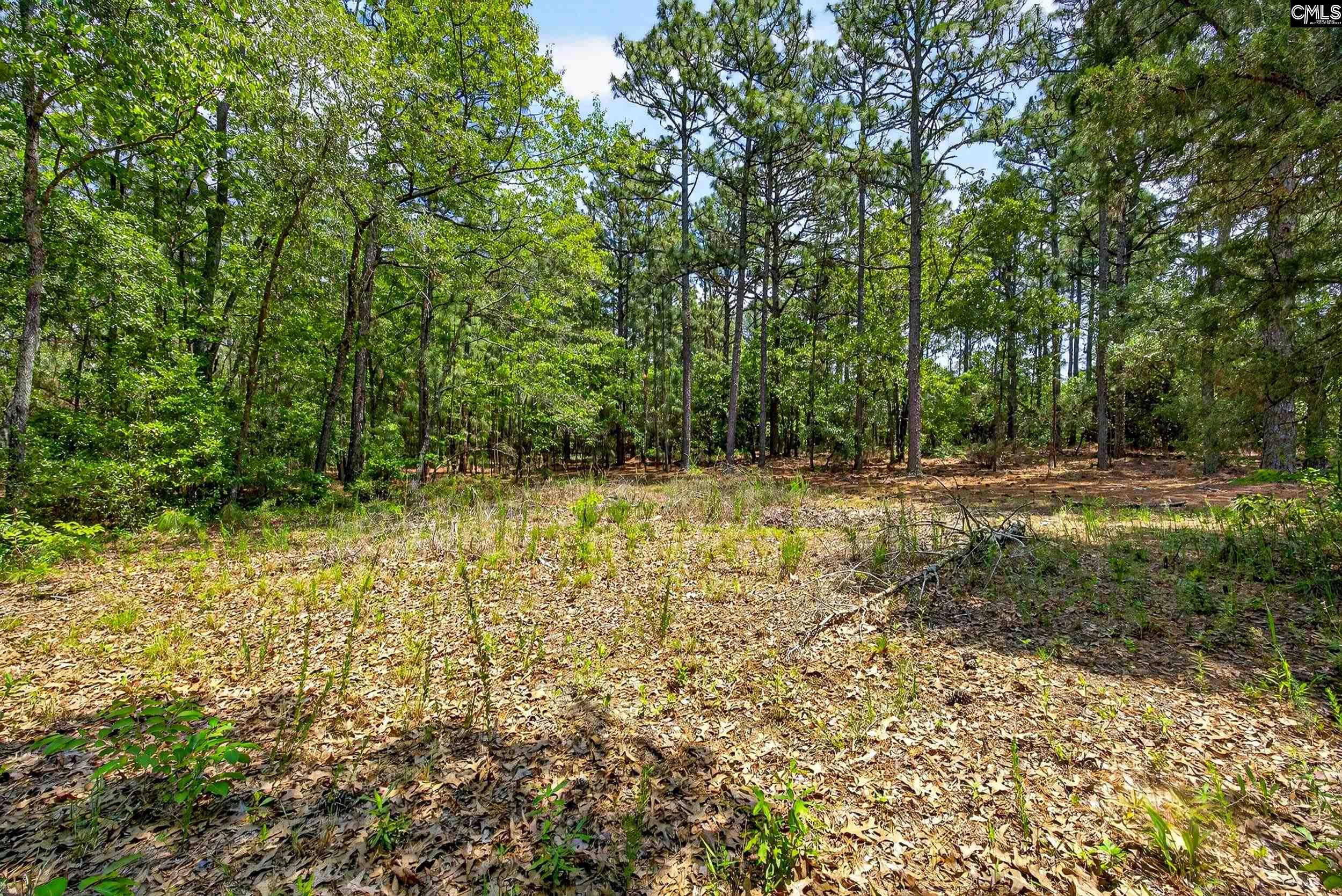 614 Longs Pond Road Lexington, SC 29073 - Photo 71 of 74