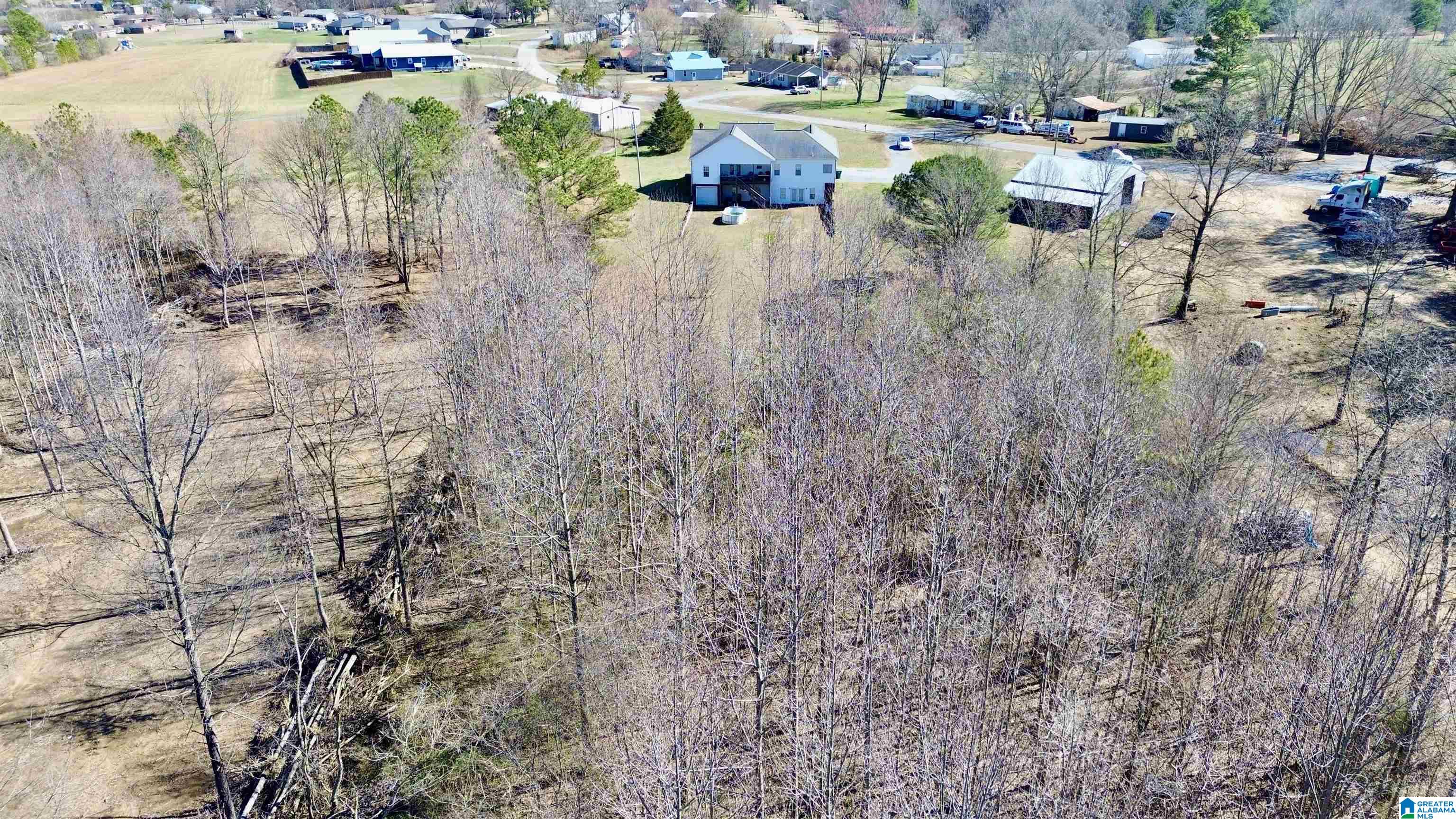 659 Cemetery Road Holly Pond, AL 35083 - Photo 63 of 65