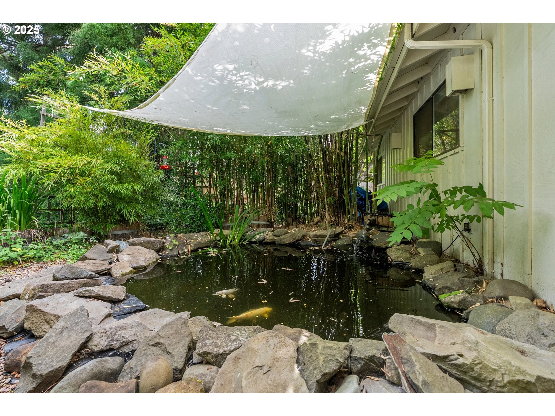 3515 Regent Avenue Eugene, OR 97401 - Photo 38 of 45 Pond