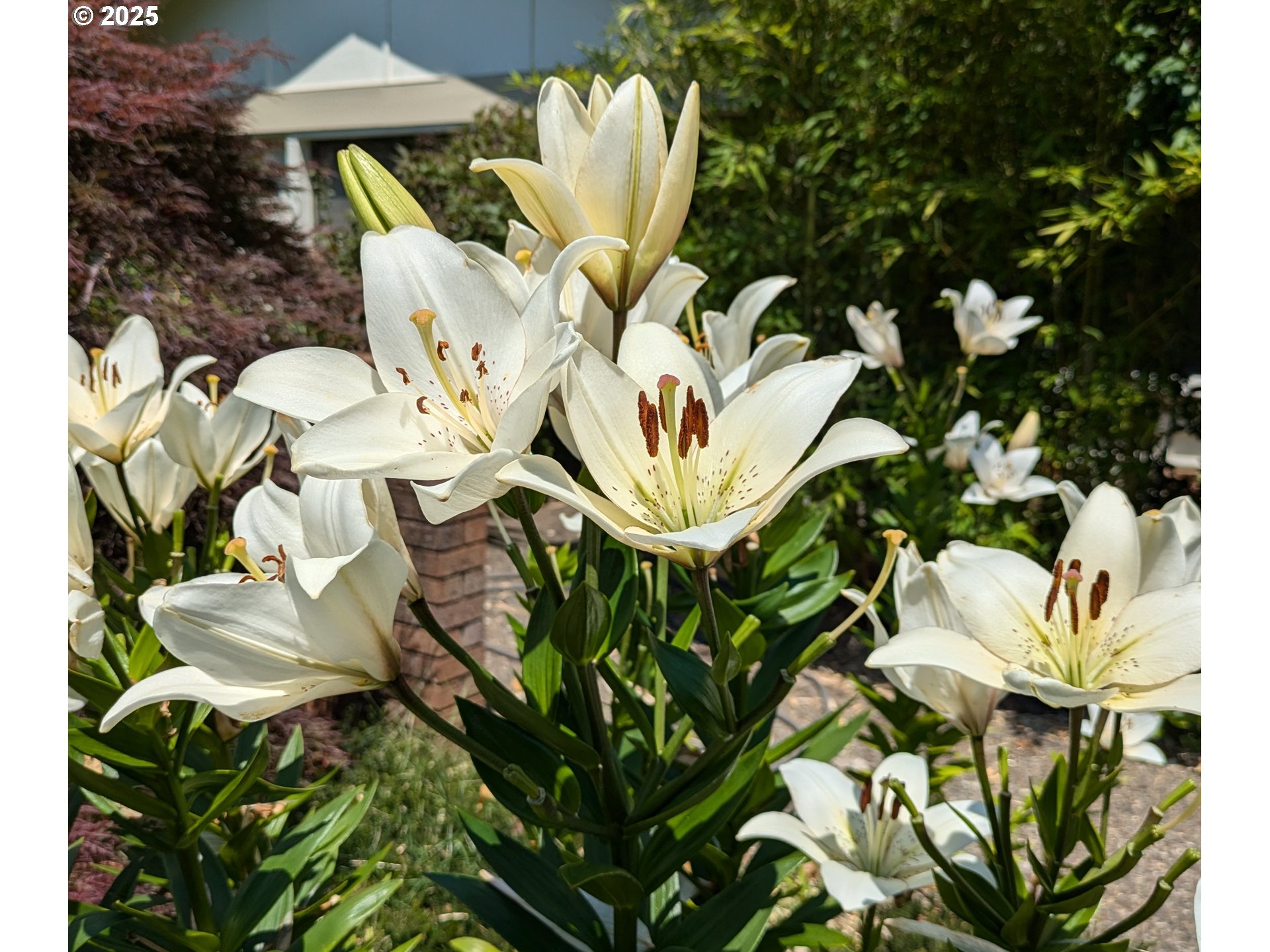 3515 Regent Avenue Eugene, OR 97401 - Photo 44 of 45 Storage
