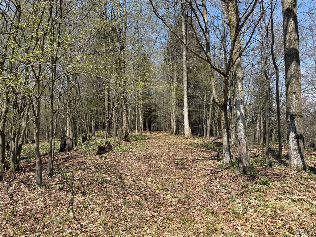 6437 West Scott Road Scott, NY 13077 - Photo 28 of 31
