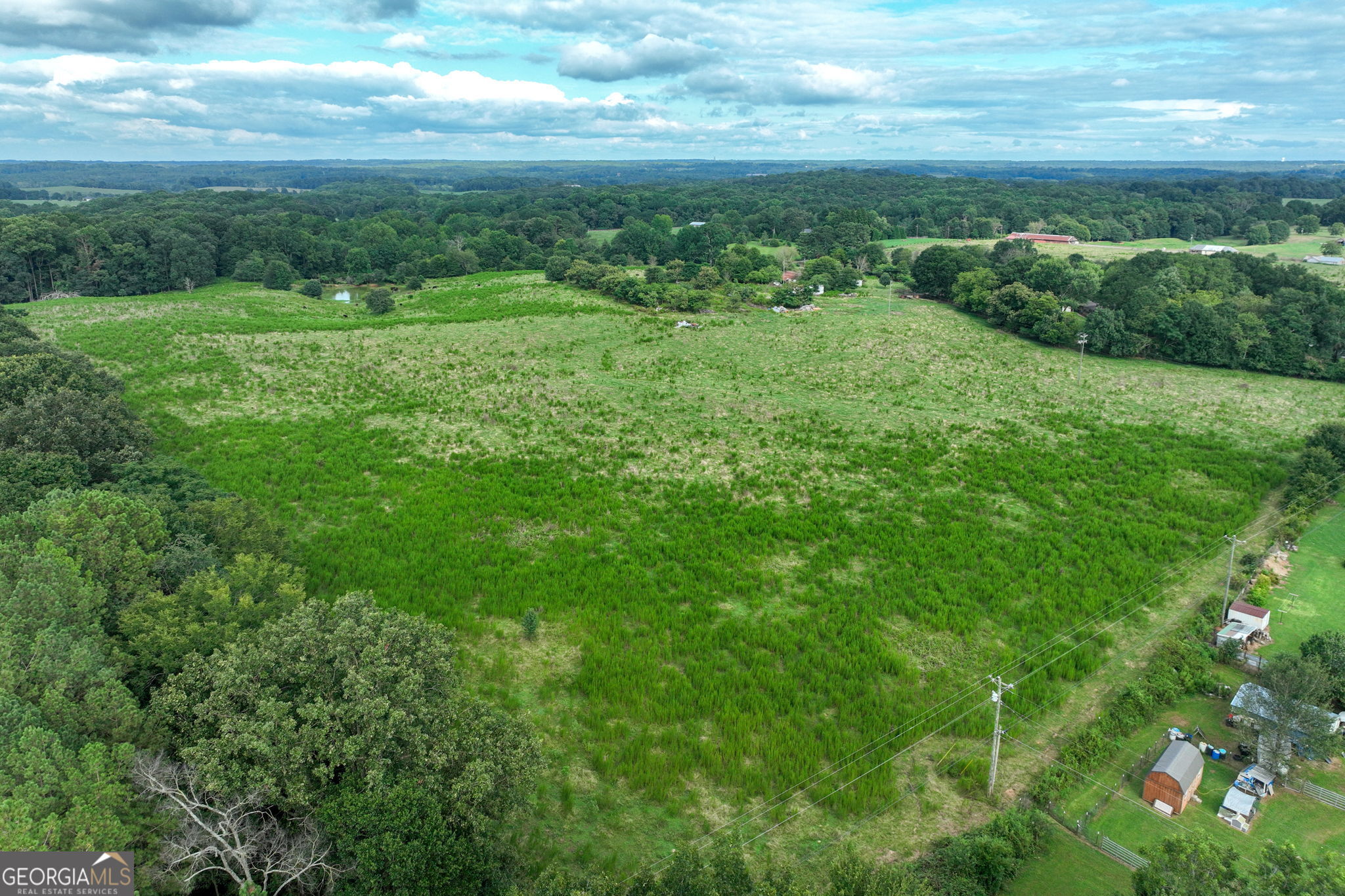 0 Turkey Creek Road Carnesville, GA 30521 - Photo 17 of 28 a view of a big yard with lots of green space