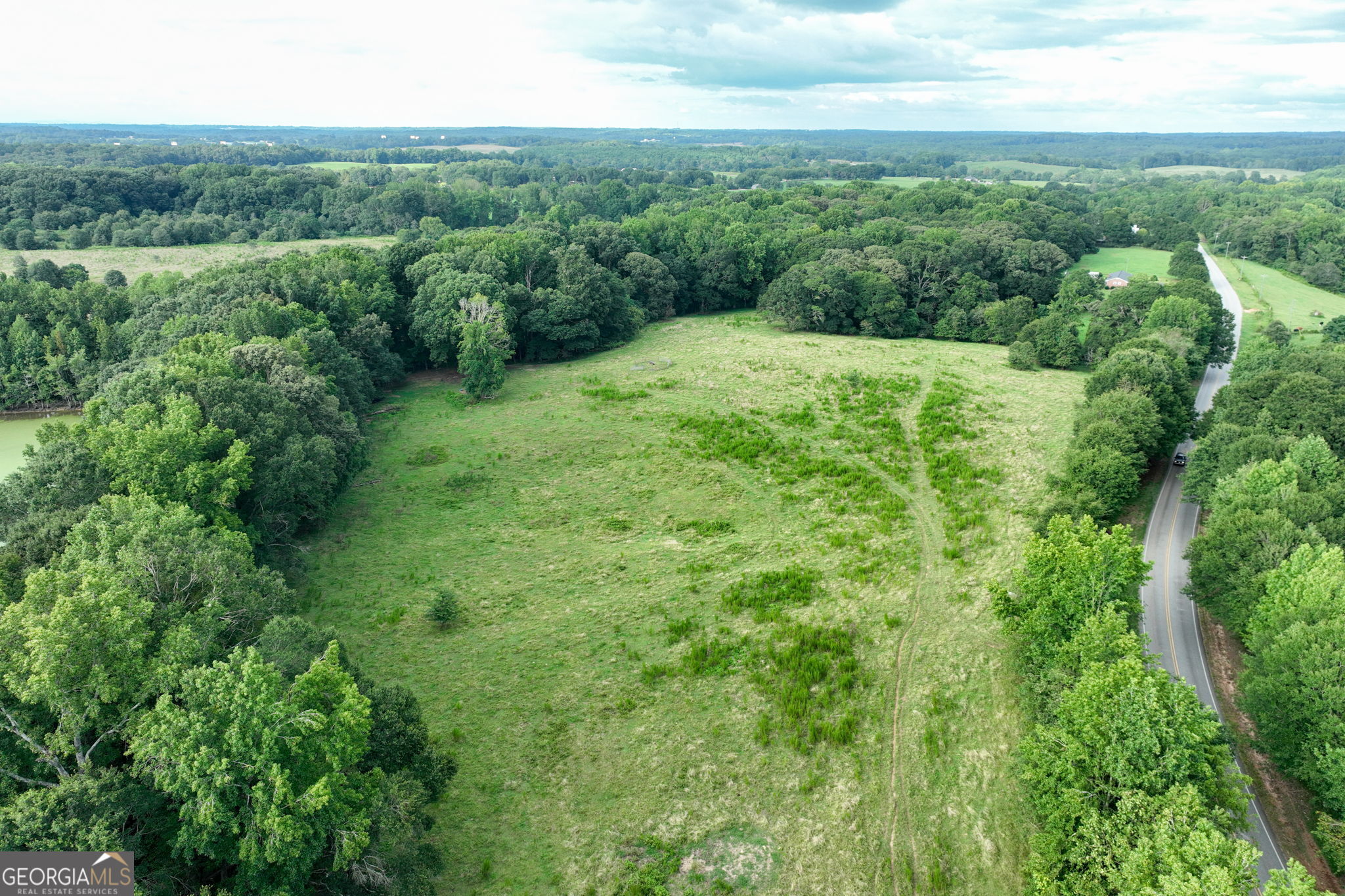 0 Turkey Creek Road Carnesville, GA 30521 - Photo 23 of 28 a view of a green field with lots of bushes