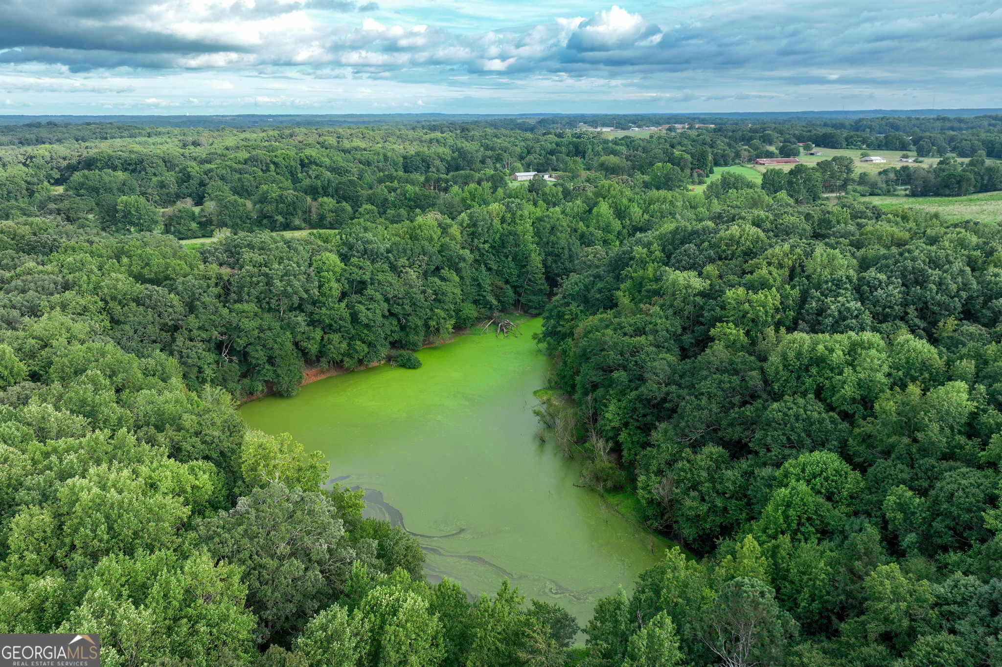 0 Turkey Creek Road Carnesville, GA 30521 - Photo 24 of 28 a view of a yard with an outdoor space