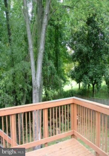 6428 Haystack Road Alexandria, VA 22310 - Photo 22 of 28 Deck - View from