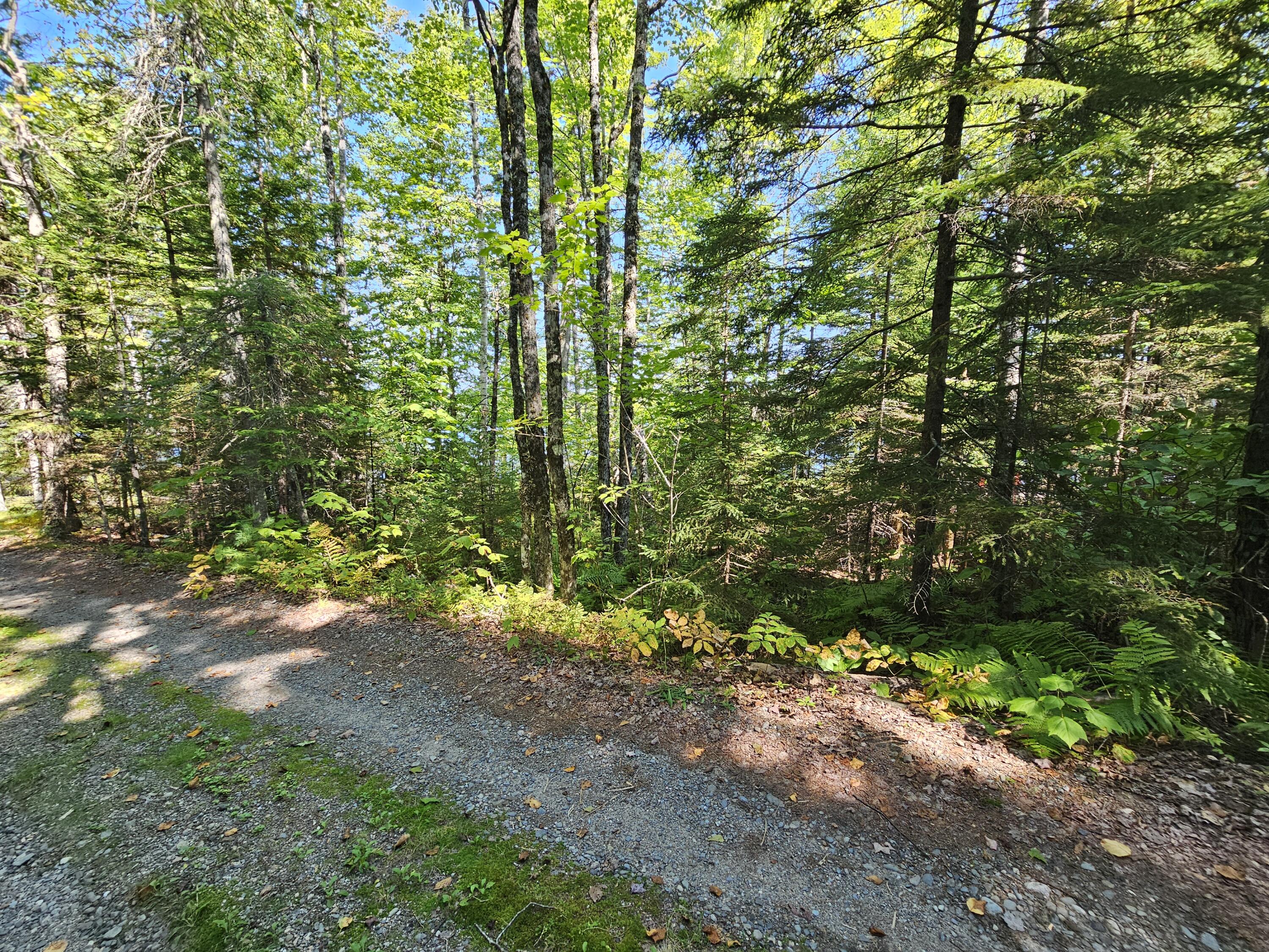 7 Foss Lane Machias, ME 04654 - Photo 16 of 28 20240905_113121