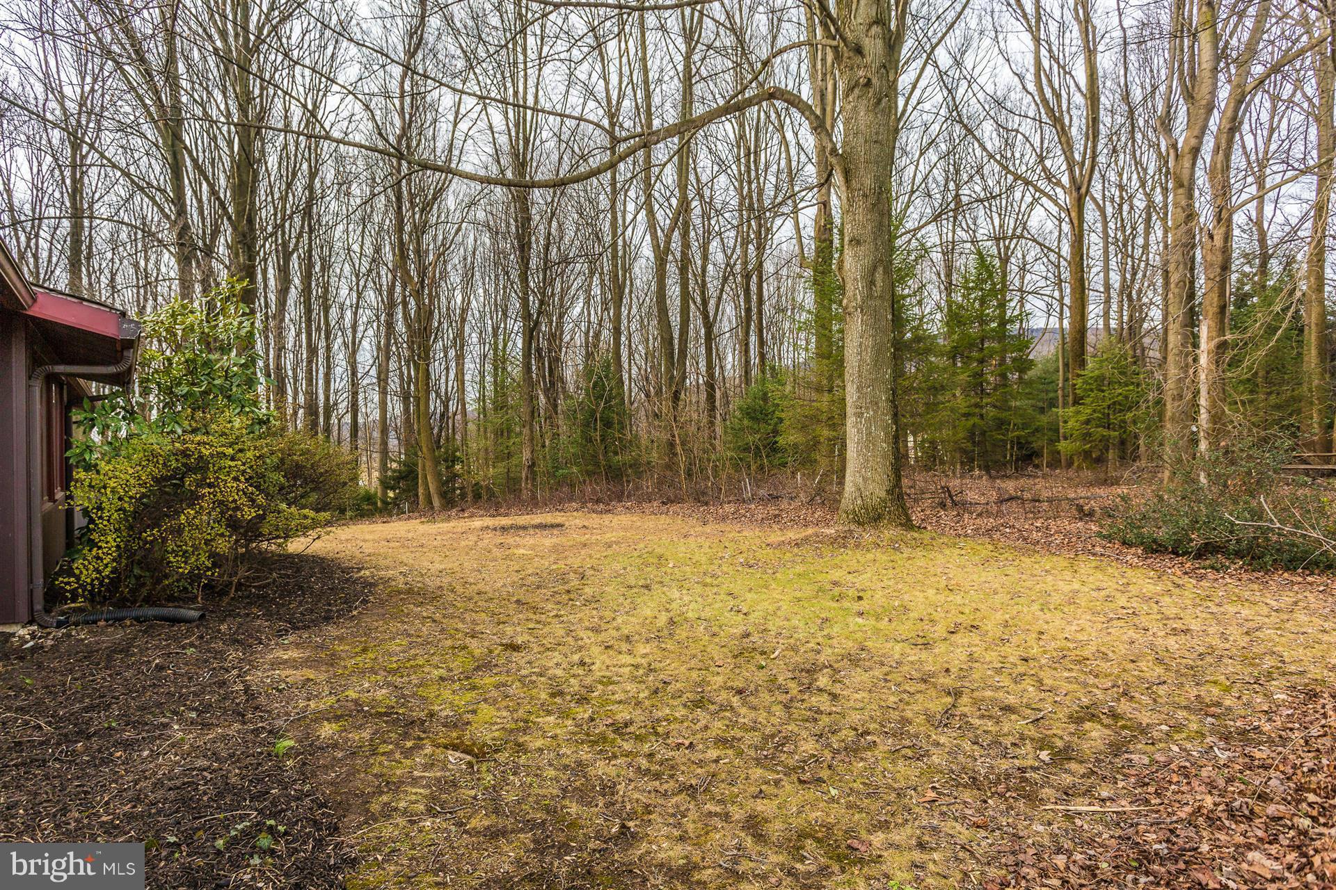 7816 Marker Road Middletown, MD 21769 - Photo 22 of 30 Exterior (General)