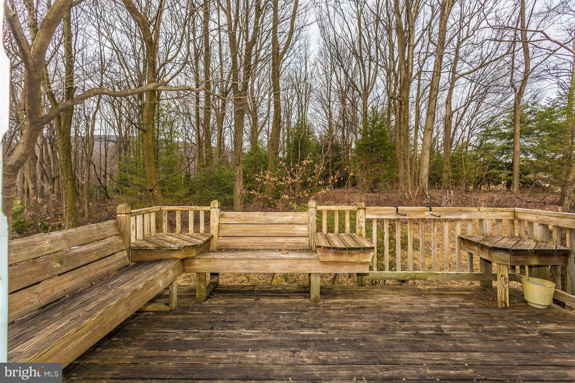 7816 Marker Road Middletown, MD 21769 - Photo 27 of 30 Exterior (Rear)