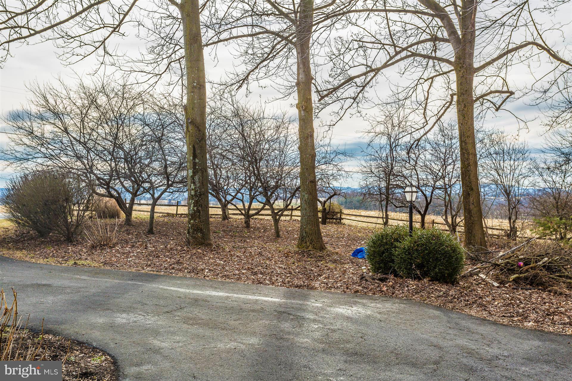 7816 Marker Road Middletown, MD 21769 - Photo 4 of 30 View