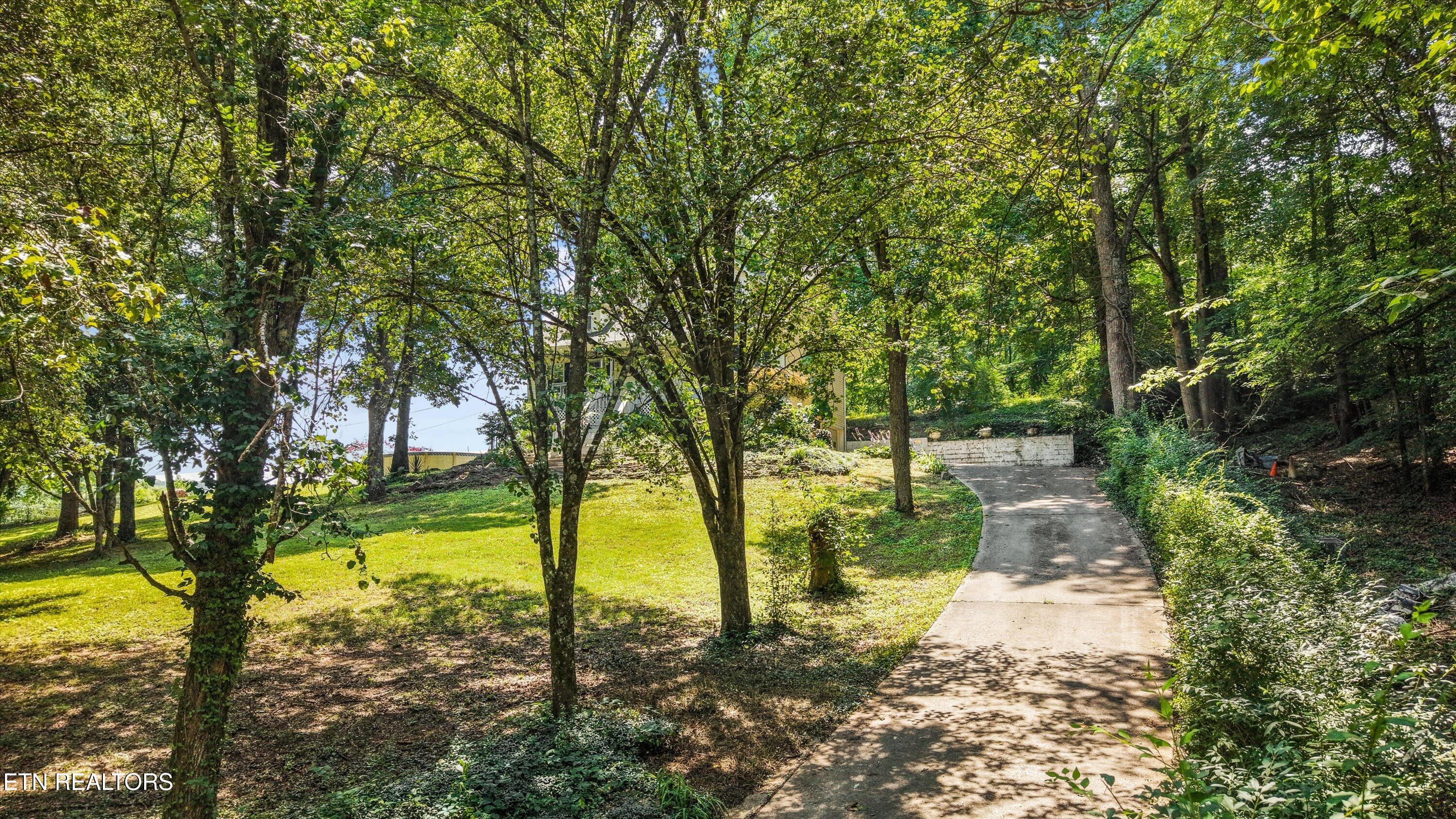 250 Ollis Road Oliver Springs, TN 37840 - Photo 42 of 47 Driveway