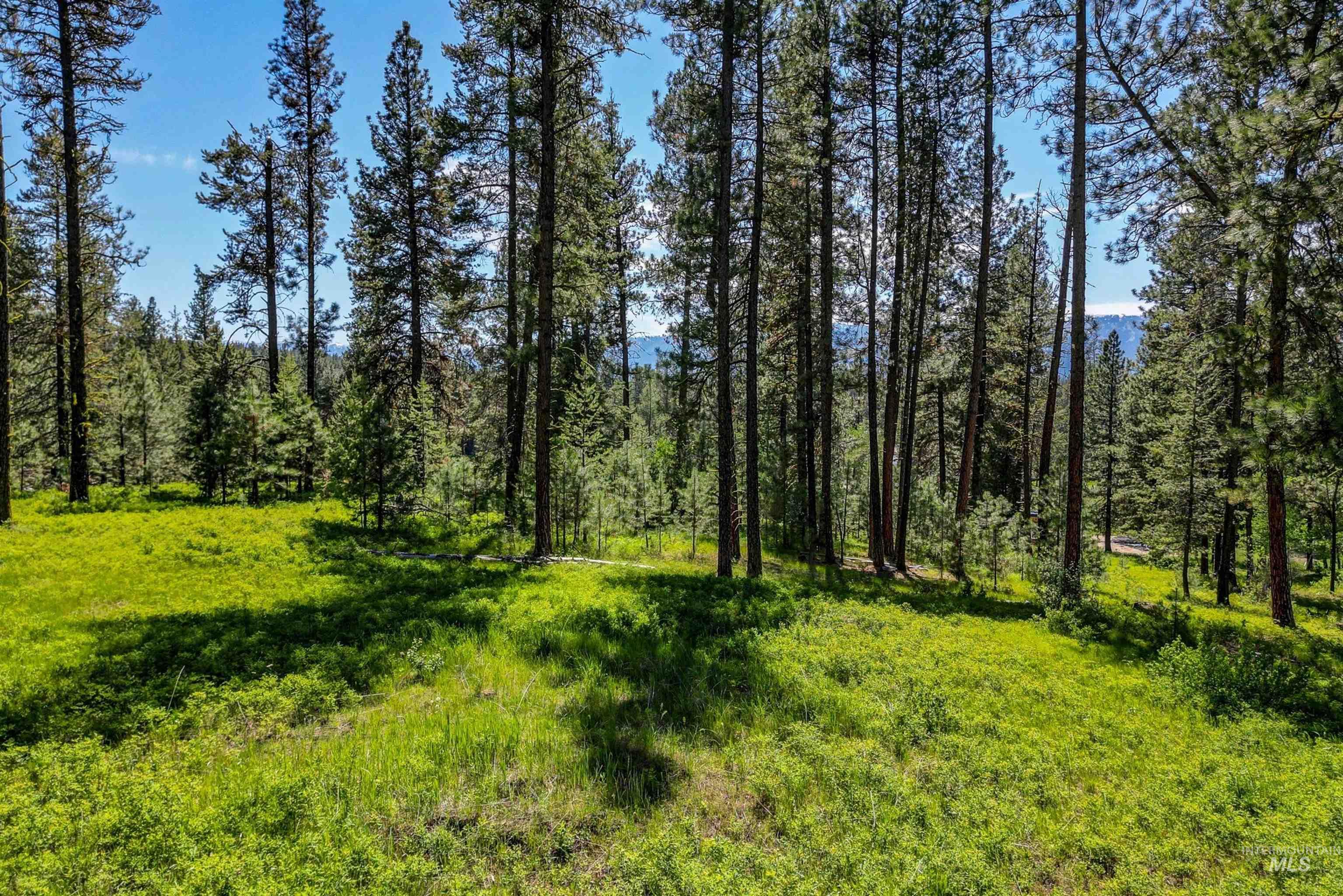 Lot 6 Hideout Road Donnelly, ID 83615 - Photo 12 of 12