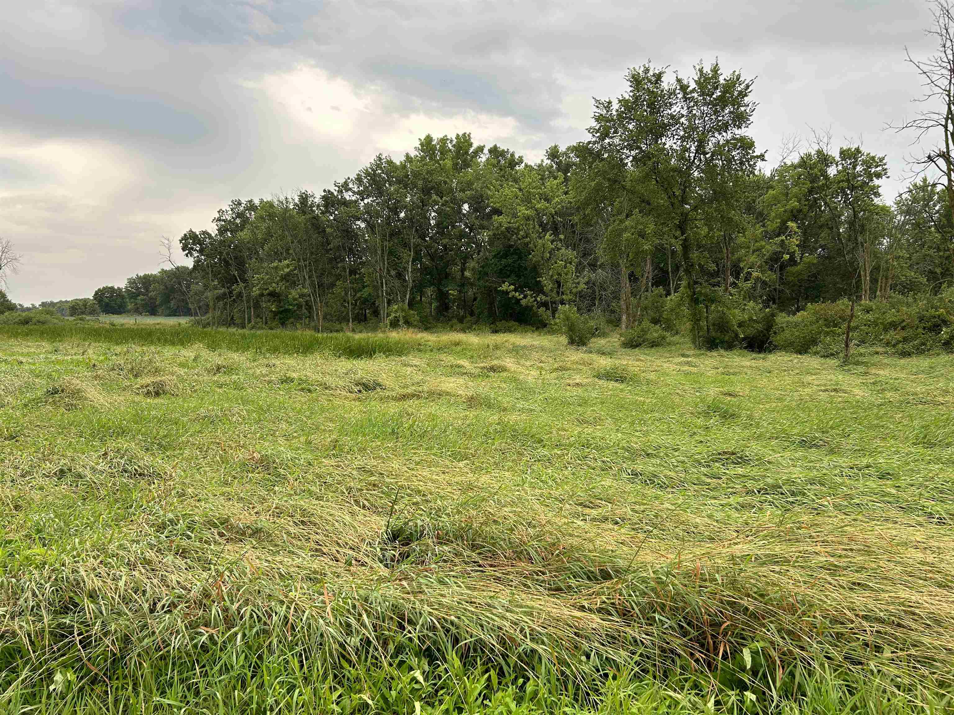 0 Beaver Road Freeport, IL 61032 - Photo 3 of 6
